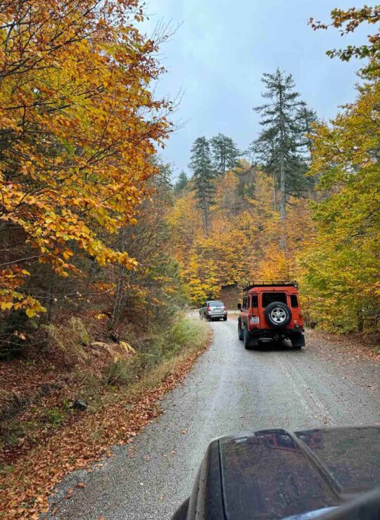 Jeep Safari with Alpine Zone