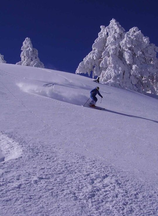 Snowboard Lessons in Vasilitsa