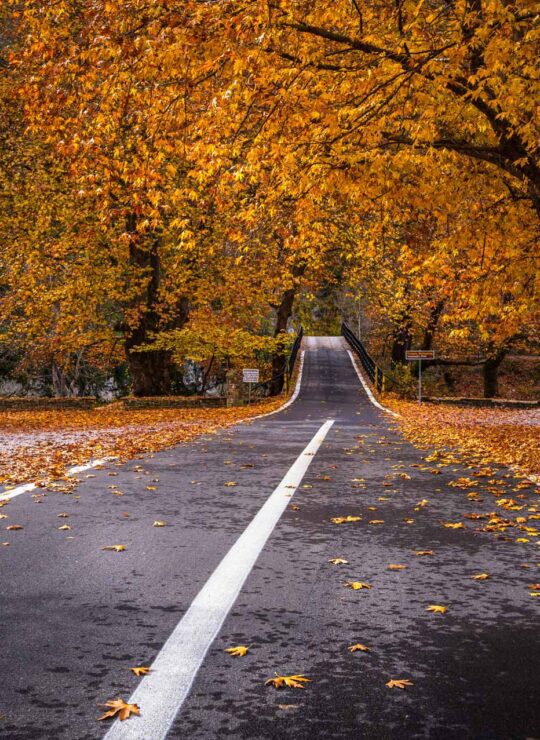 Aristi Papigko Bridge