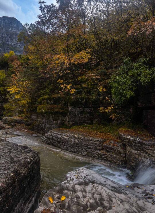 Ovires Rogovou in Zagori