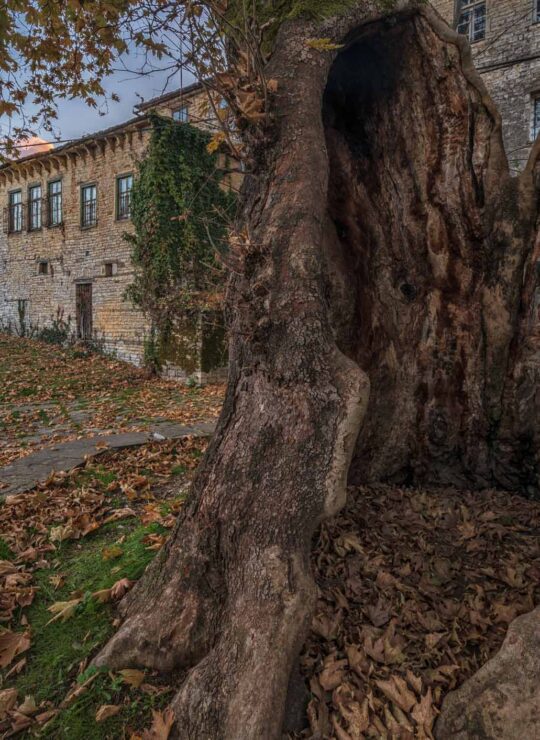 Dilofo village in Zagori 2