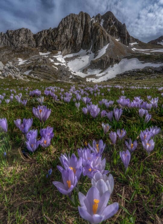 δρακολιμνη τύμφης
