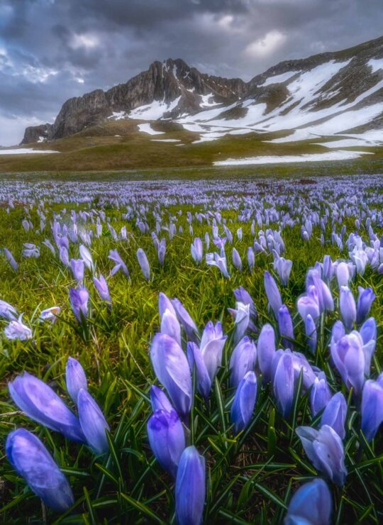 Tymfi dragonlake during spring