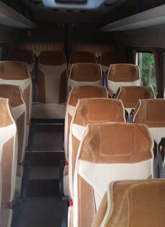 alpine zone buses interior